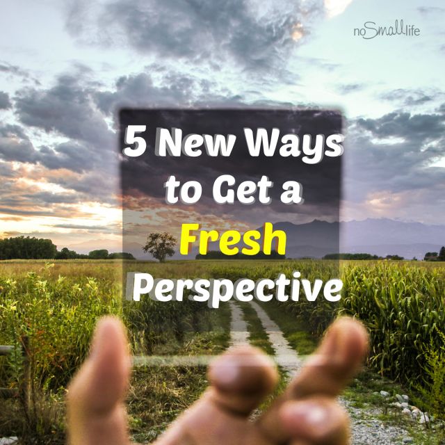 Get a Grip: 5 New Ways to gain a Fresh Perspective